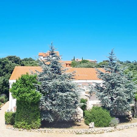 Lavender House Vila Mandre Exterior foto