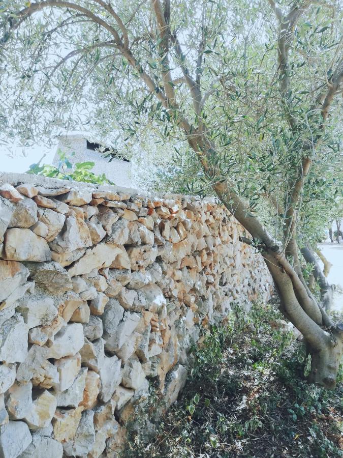 Lavender House Vila Mandre Exterior foto