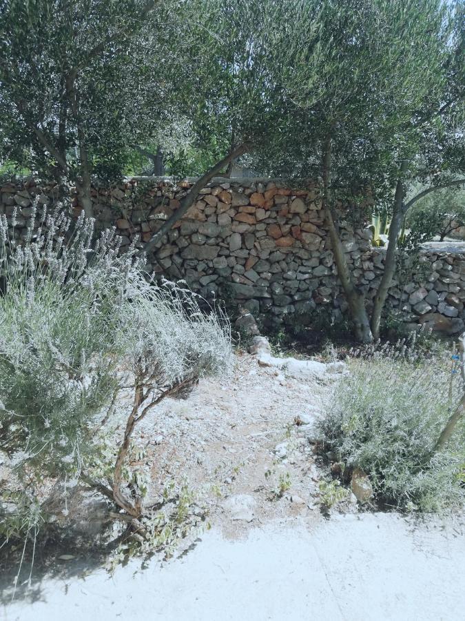 Lavender House Vila Mandre Exterior foto