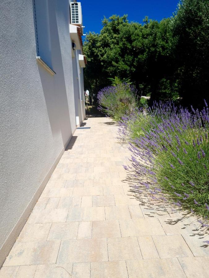 Lavender House Vila Mandre Exterior foto